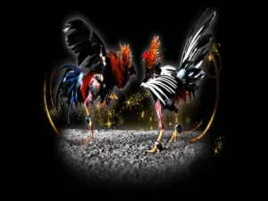 Chinh Phục Đấu Trường Đá Gà Sabong J88 Với Mẹo Cược Đỉnh Cao