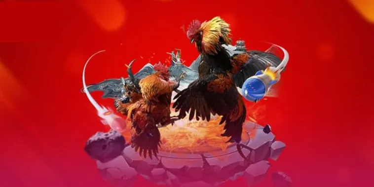 Khám Phá Thế Giới Đá Gà J88 Đỉnh Cao Cùng Kèo Cược Hấp Dẫn